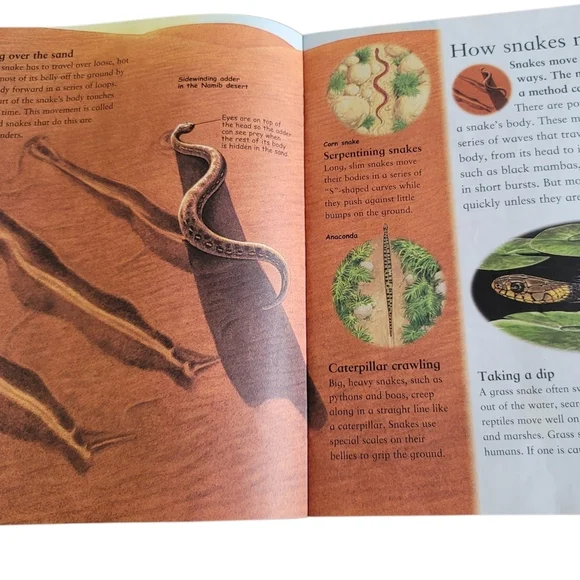Snakes -  Hard Back Book - Picture 3 of 5